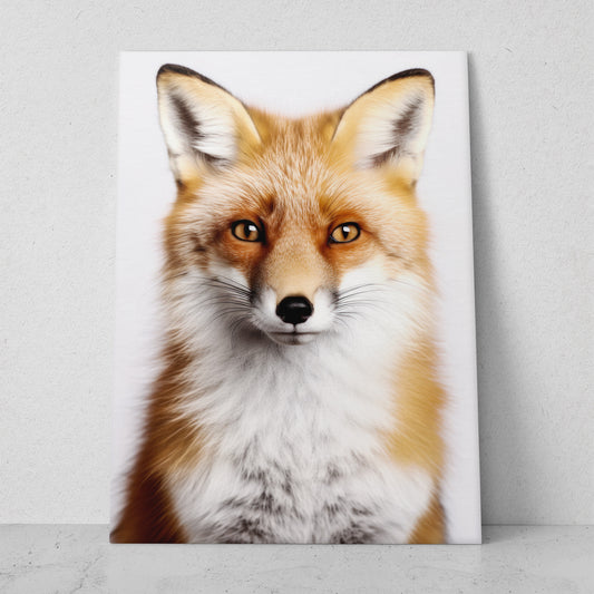 Zorro - Fondo Blanco (Vertical)