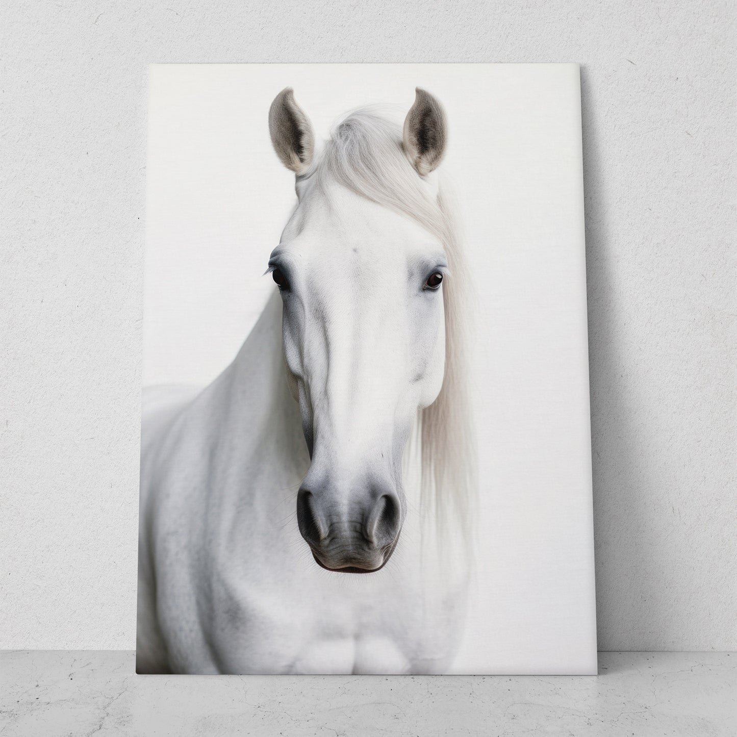 Caballo - Fondo Blanco (Vertical)