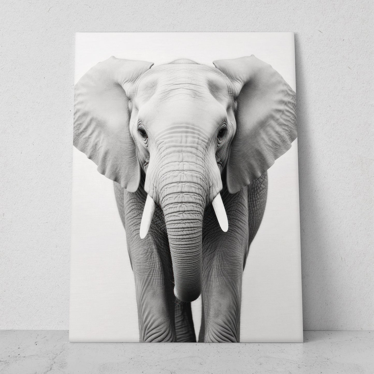 Elefante - Fondo Blanco (Vertical)