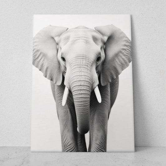 Elefante - Fondo Blanco (Vertical)